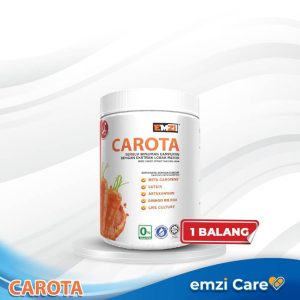 CAROTA PAKEJ PERCUBAAN